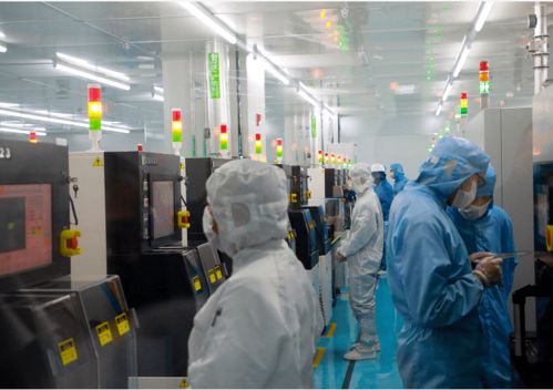 厦门生物医药与半导体产业双翼齐飞，网络技术赋能新发展